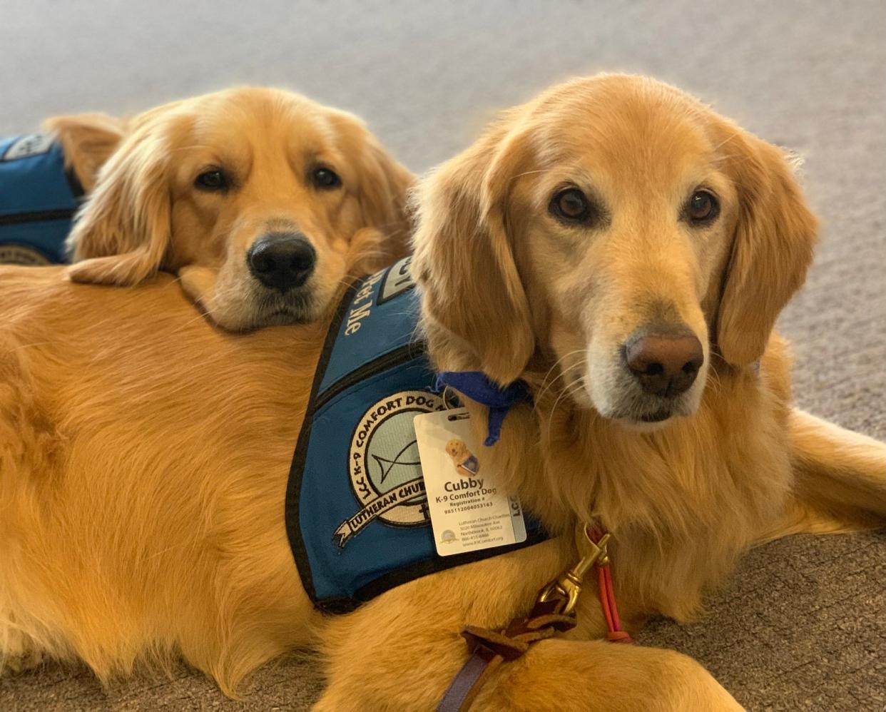 K-9 Comfort Dog Cubby, front, is cuddled by K-9 Comfort Dog Devorah in this undated photo provided by Lutheran Church Charities.