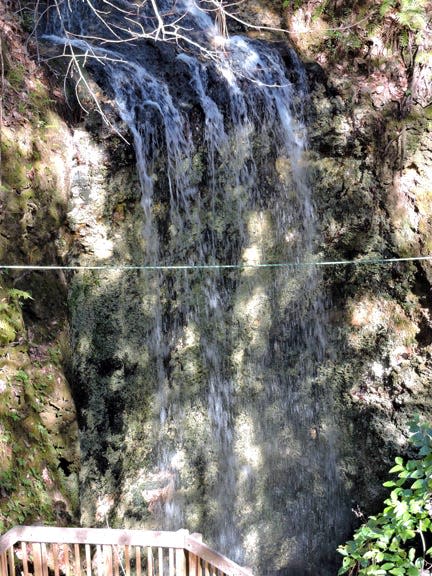 Mike Padilla of Crestview photographed his waterfall at Falling Waters State Park just south of Chipley. He said that at 73 feet, this is the highest waterfall in Florida. If you have a photo you’d like to submit to the Picture Perfect feature, post it to the Daily News’ Facebook page with your name, city of residence and information about the photo. You can also email photos to dstone@nwfdailynews.com.