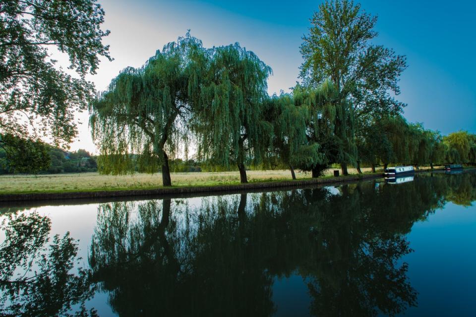 Take a dip just outside of town in Guildford (istock)