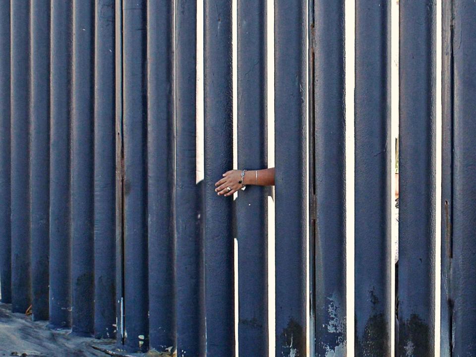Trump’s border wall will not work ‘no matter how high’, scientists warn
