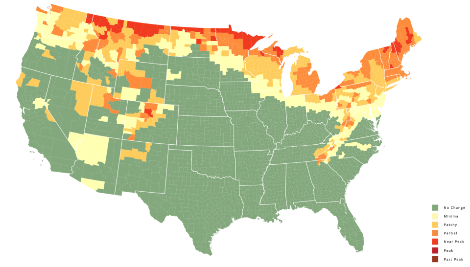 New England Fall Foliage 2024 Weekbyweek forecast maps shown when