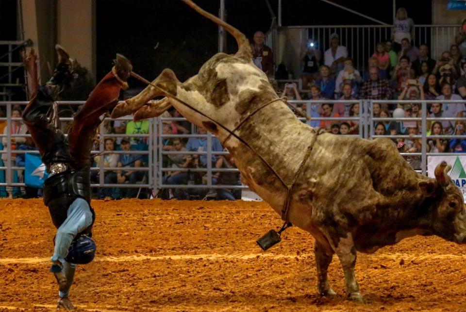 Find rodeo fun in Florida (Indiantown Rodeo)