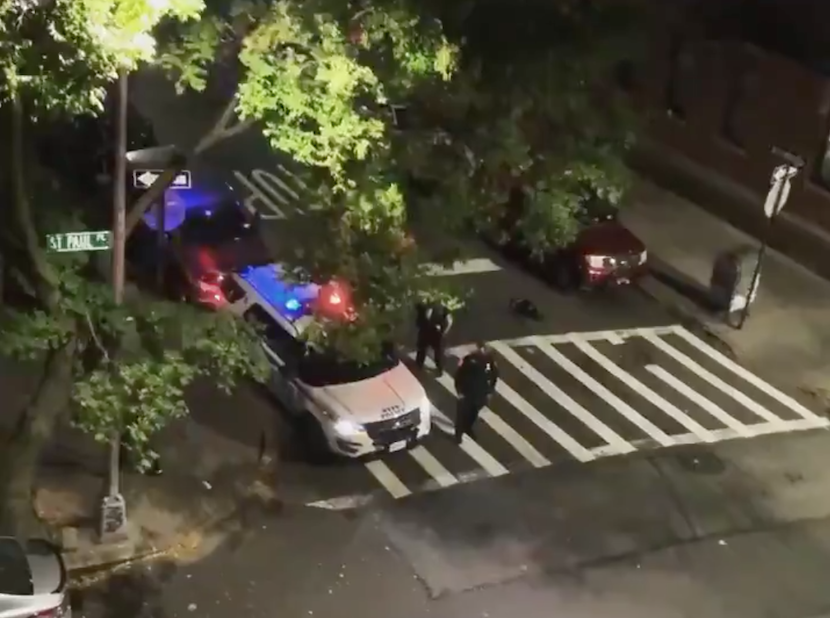 An NYPD officer on Saturday night used his patrol car’s loudspeaker to yell: ‘Trump 2020!' (@Thumpio)