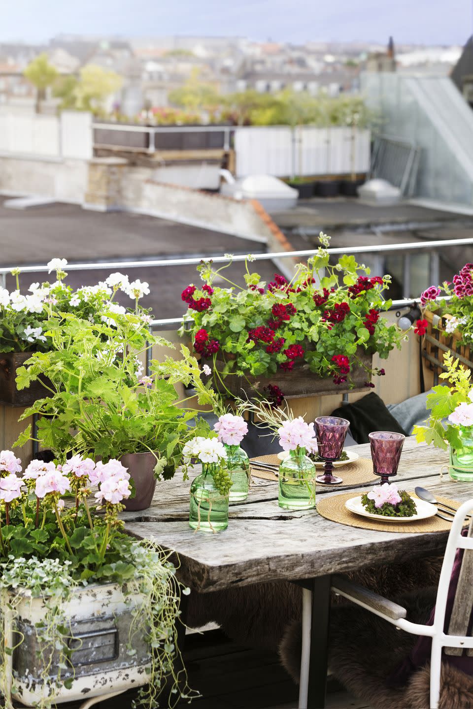 window boxes