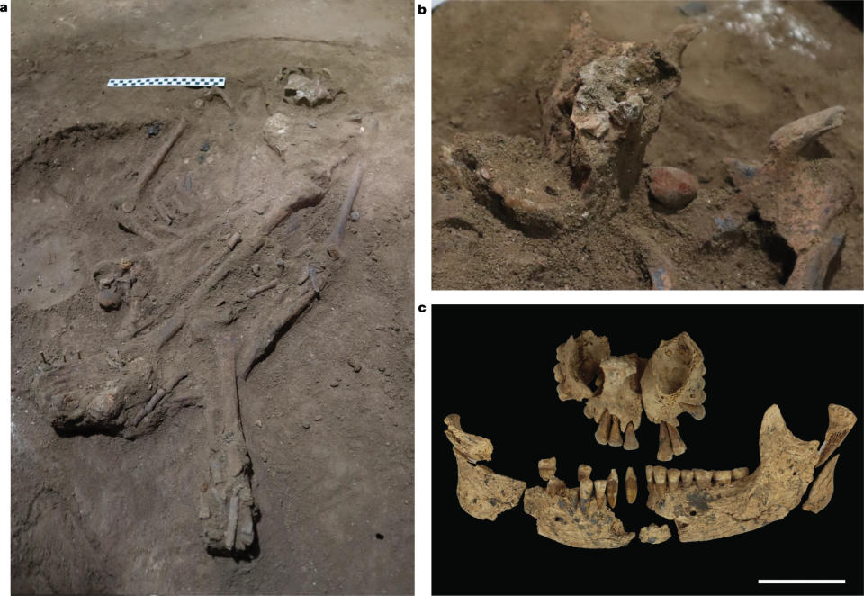 <span>El individuo fue enterrado acostado sobre su espalda en una alineación casi de norte a sur, con las piernas flexionadas. (Foto: Nature)</span>