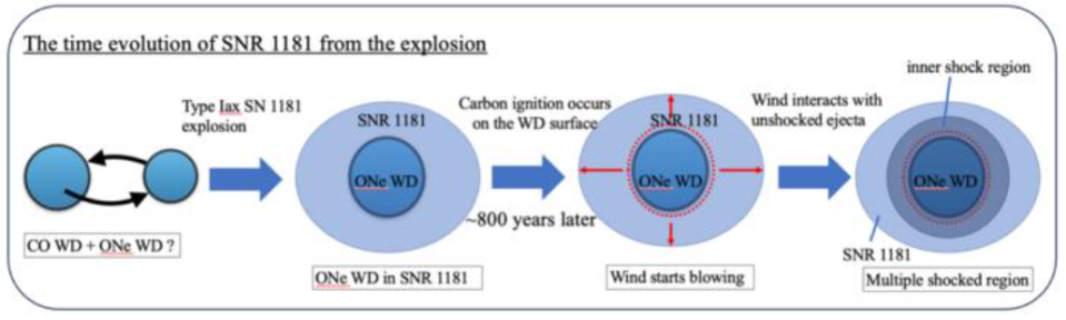 A diagram showing how the supernova remnant evolved. On the left, two white dwarfs collide. Finally, on the right, the final stage of the process.