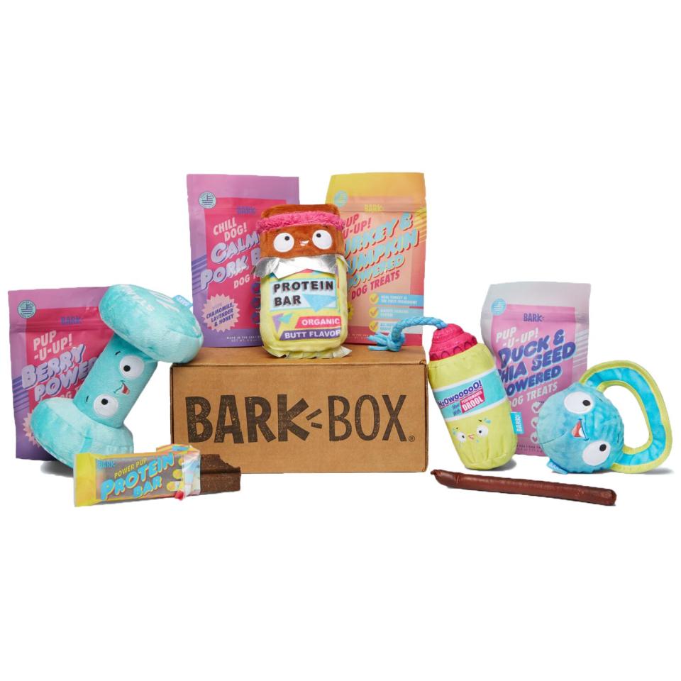 barkbox-subscription-box