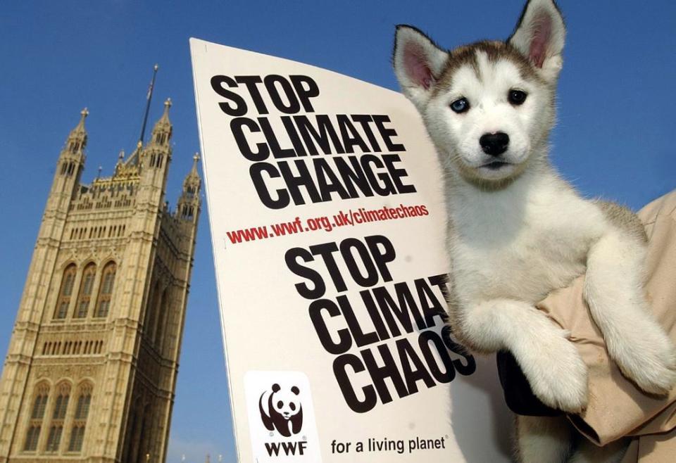 Climate change protesters in Westminster (PA)