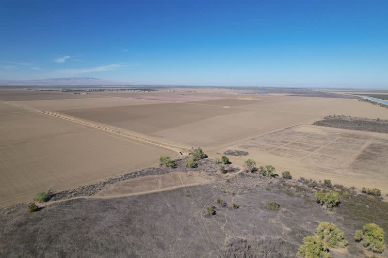 California farmers aim to recharge aquifers by diverting floodwaters to fallowed land