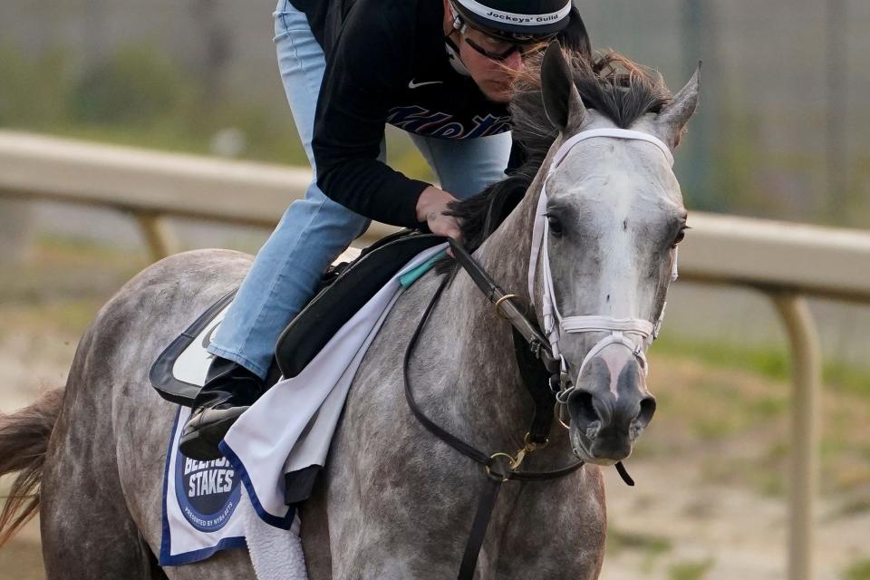 Tapit Trice trains ahead of the Belmont Stakes on Wednesday.