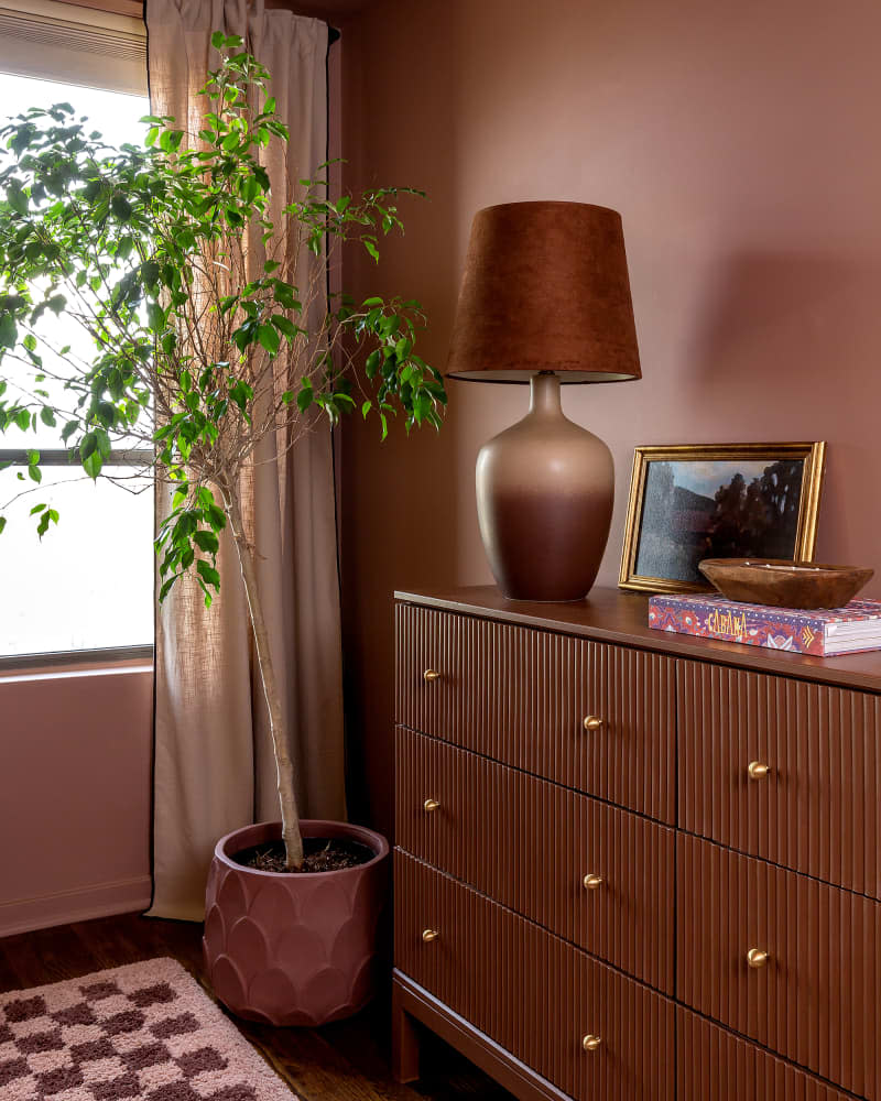 Potted tree next to dresser in newly remodeled bedroom.