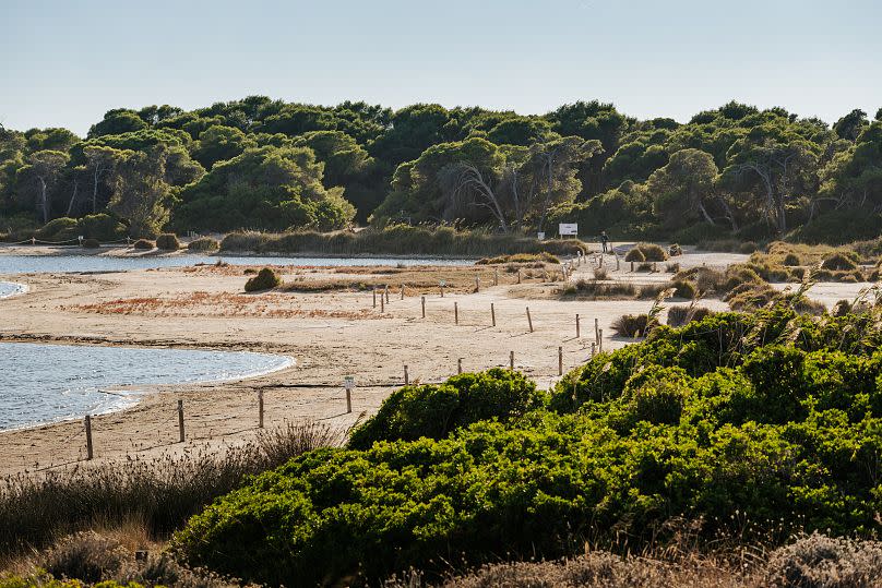 Albufera National Park is Valencia's "green lung".