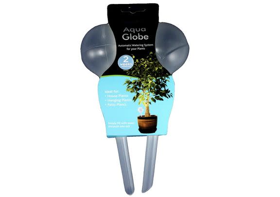 Struggle to keep your houseplants healthy? This pair of globes that water your plants for you.