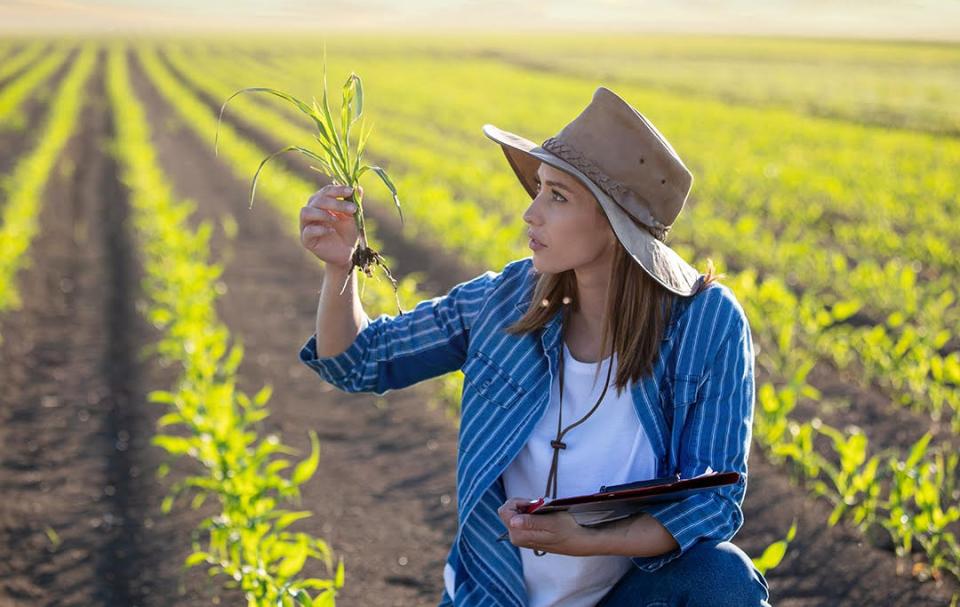 Mujer agro campo