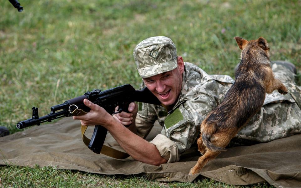  A dog jumps around a smiling serviceman lying in a prone position with a rifle during the combat drills of the Zakarpattia Region Territorial Defence Forces, Zakarpattia Region, western Ukraine. This photo cannot be distributed in the Russian Federation. - Ukrinform/Shutterstock