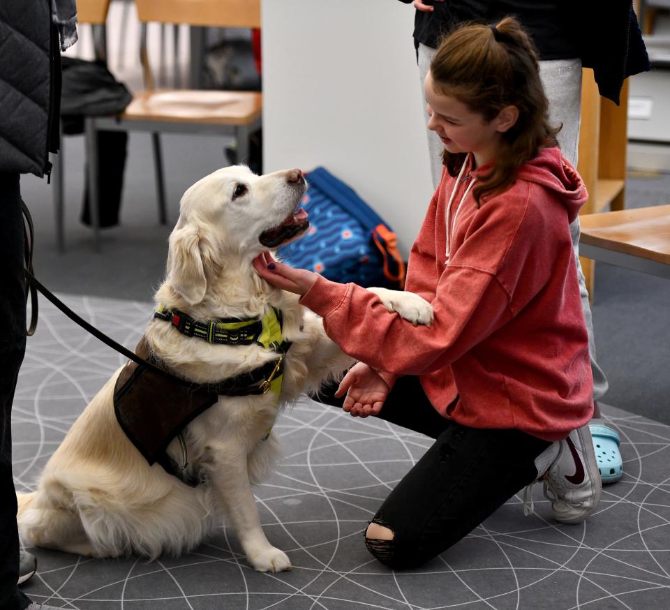 In a 2022 file photo, Gemma, the registered therapy dog of Janice Ferenchick of Northborough, visits with Alyssa Merriam of Worcester at the Worcester Public Library.