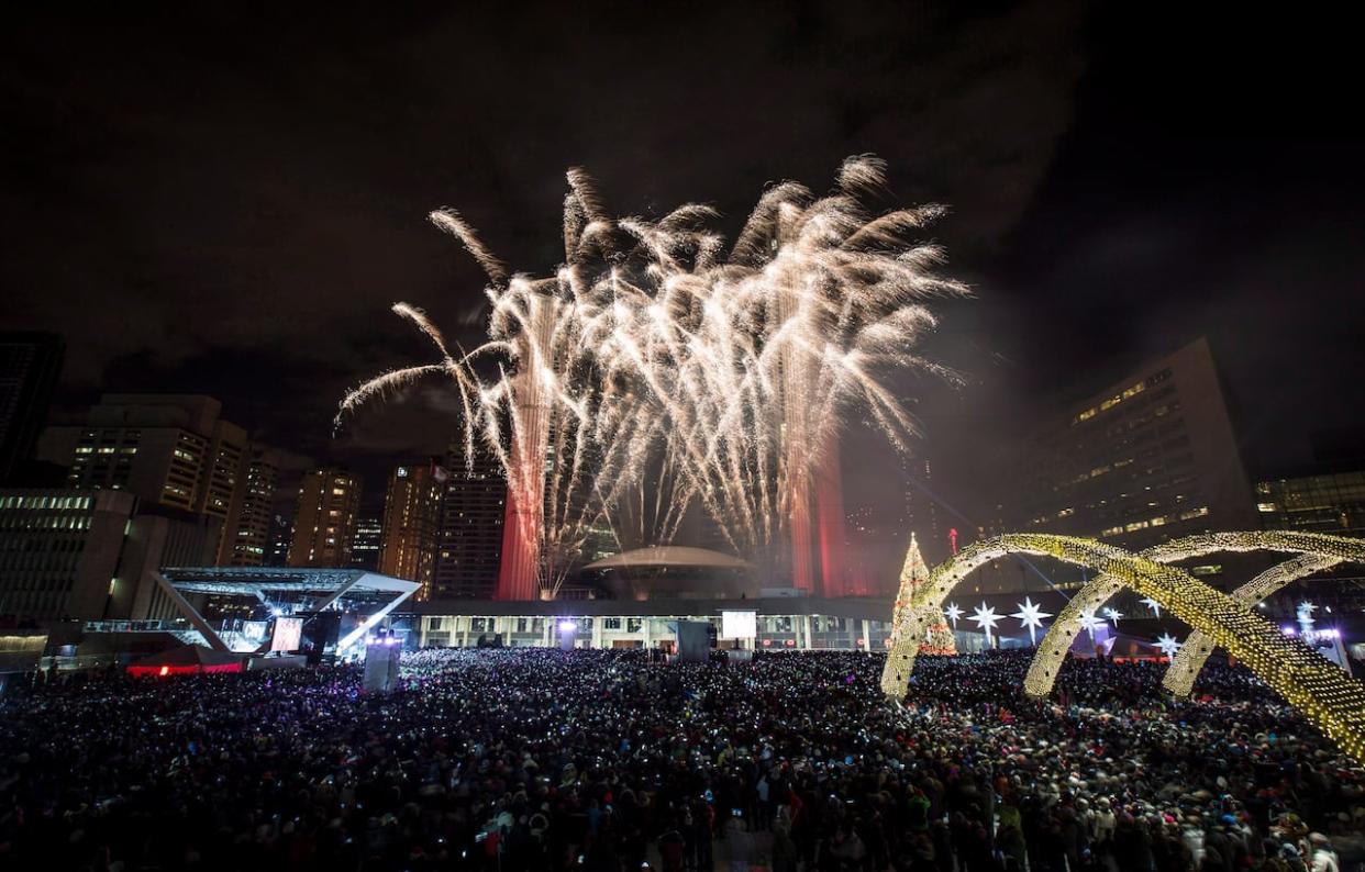 Here's what you need to know for New Year's Day. (Mark Blinch/Canadian Press - image credit)