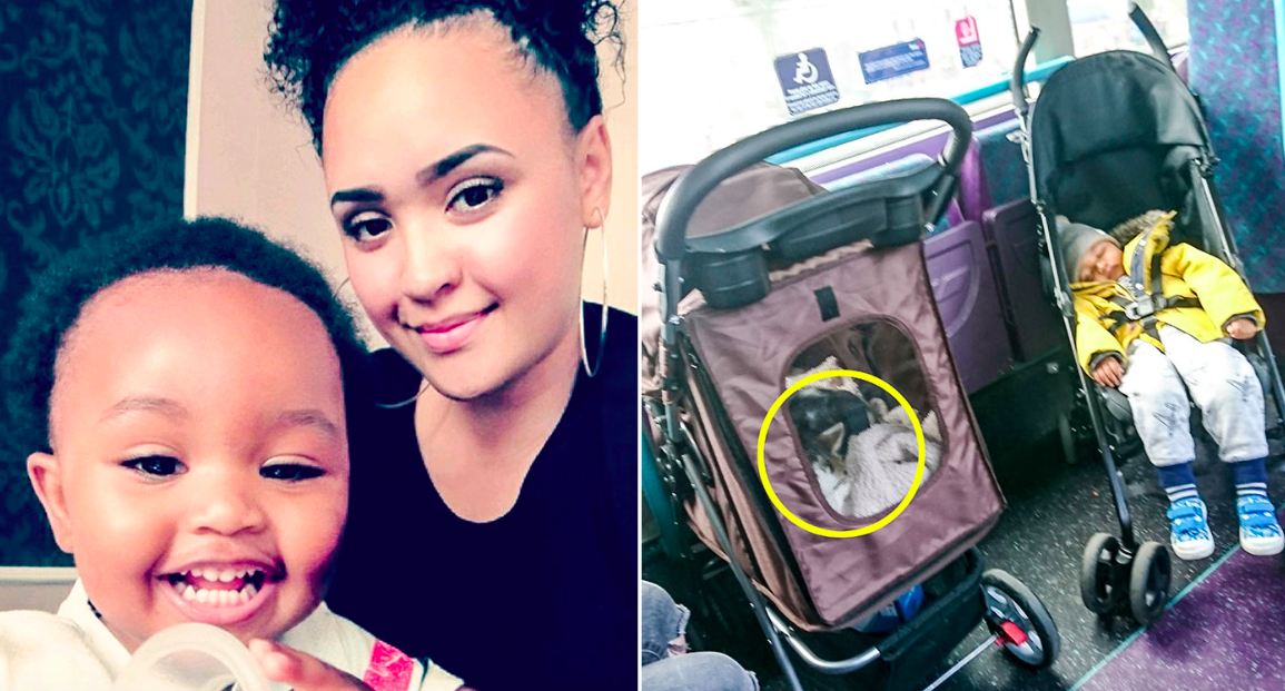 <em>Mia Wilson was on the bus with her son Elias when she noticed the cat in a pram (Caters)</em>