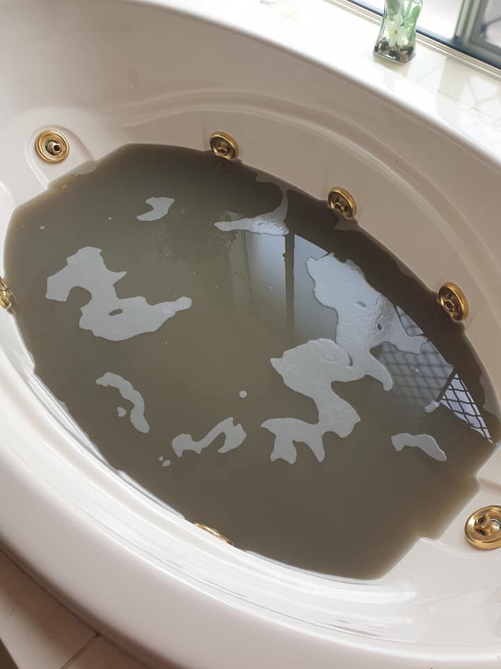 The water after the soak left many horrified at what might be lurking in their own doonas. Photo: Supplied