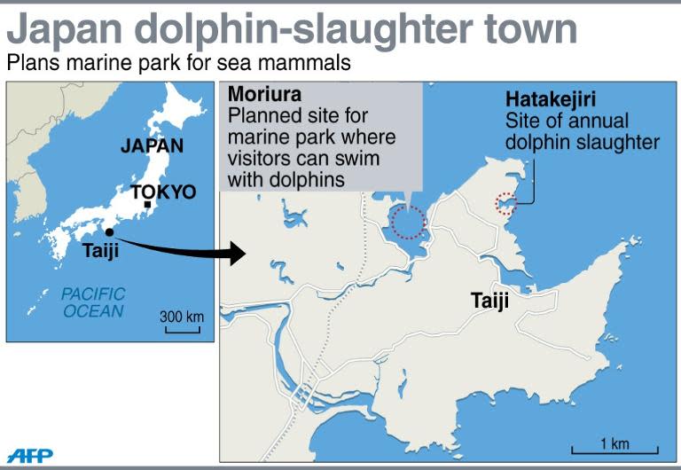 Map locating Taiji in Japan, which is to open a marine park where visitors can swim with dolphins