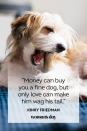 <p>“Money can buy you a fine dog, but only love can make him wag his tail.”</p>