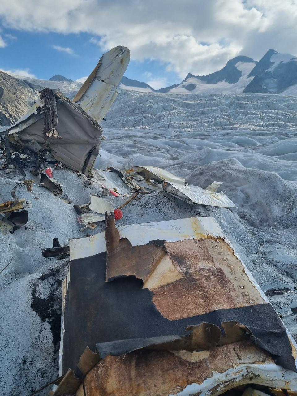Scattered plane pieces from a crash were discovered last week.