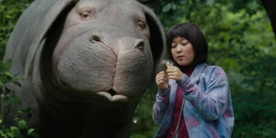 The tender Okja. (Netflix)