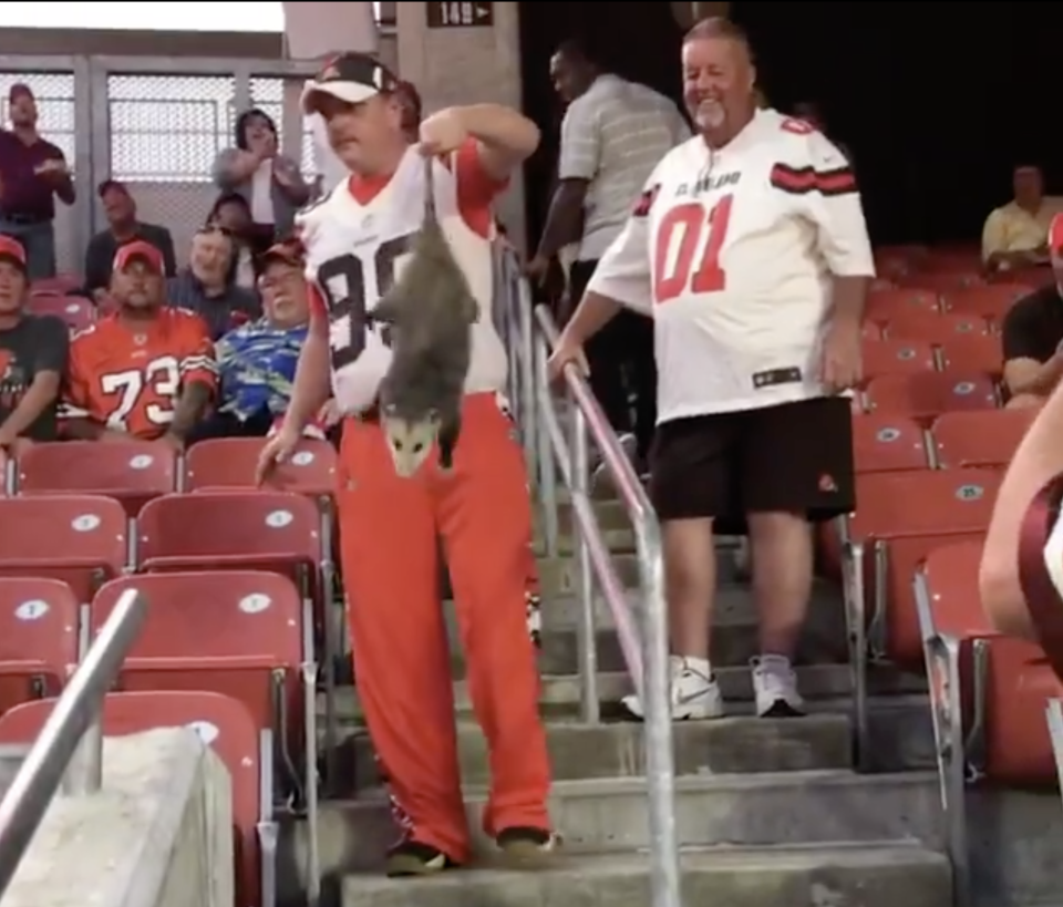 A Cleveland Browns fan caught an opossum that snuck into FirstEnergy Stadium on Thursday night. (screenshot via BustedCoverage)