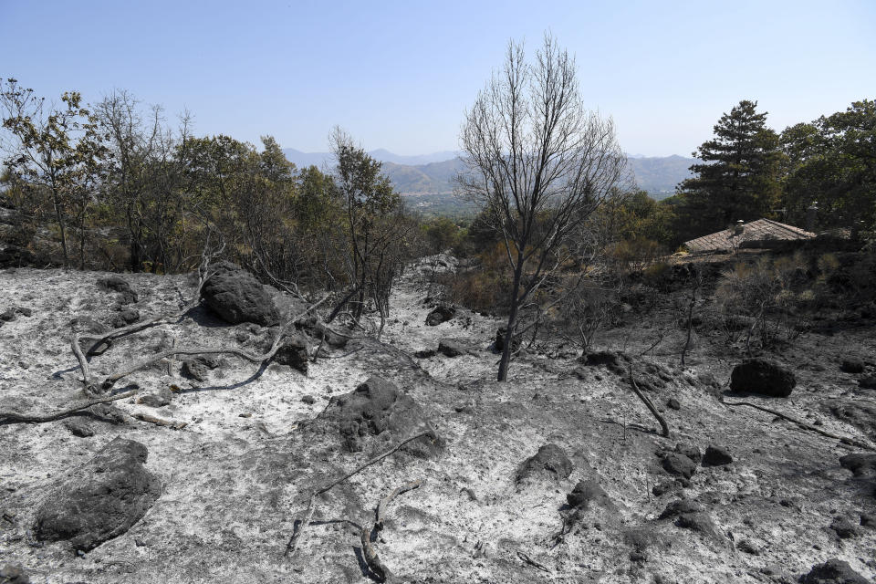 A view of a burnt forest, in Linguaglossa, on the slopes of Mount Etna, near Catania, Sicily, Italy, Friday, Aug. 13, 2021. The southern regions of Sicily, Sardinia, Calabria and also central Italy, where temperatures are expected to reach record hights, were badly hit by wildfires. Climate scientists say there is little doubt that climate change from the burning of coal, oil and natural gas is driving extreme events, such as heat waves, droughts, wildfires, floods and storms. (AP Photo/Salvatore Cavalli)