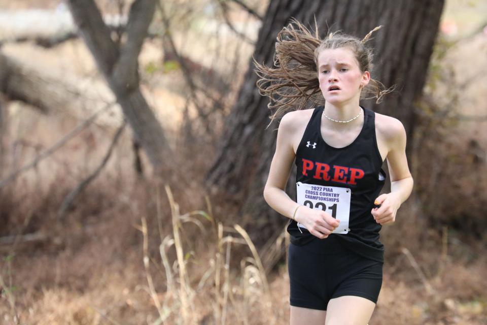 Cathedral Prep freshman Anne-Catherine Brown finished 8th to lead the Ramblers in the PIAA Class 2A girls cross country championship at Hershey Parkview course on Saturday.