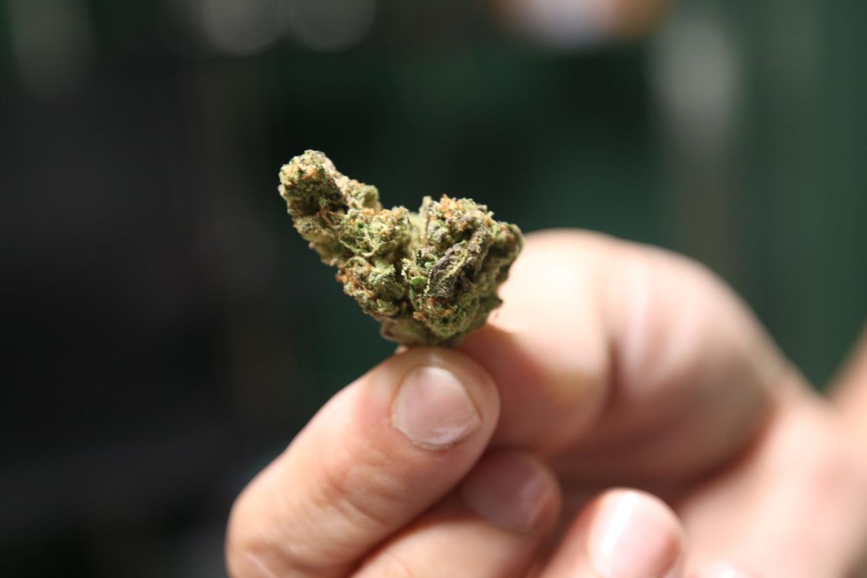 A nug of cannabis flower is pictured May 8, 2023 at Hat Creek Cannabis Cafe in Carlsbad.