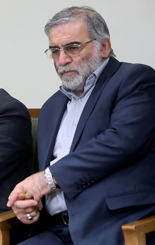 FILE PHOTO: Prominent Iranian scientist Mohsen Fakhrizadeh is seen in Iran before his death