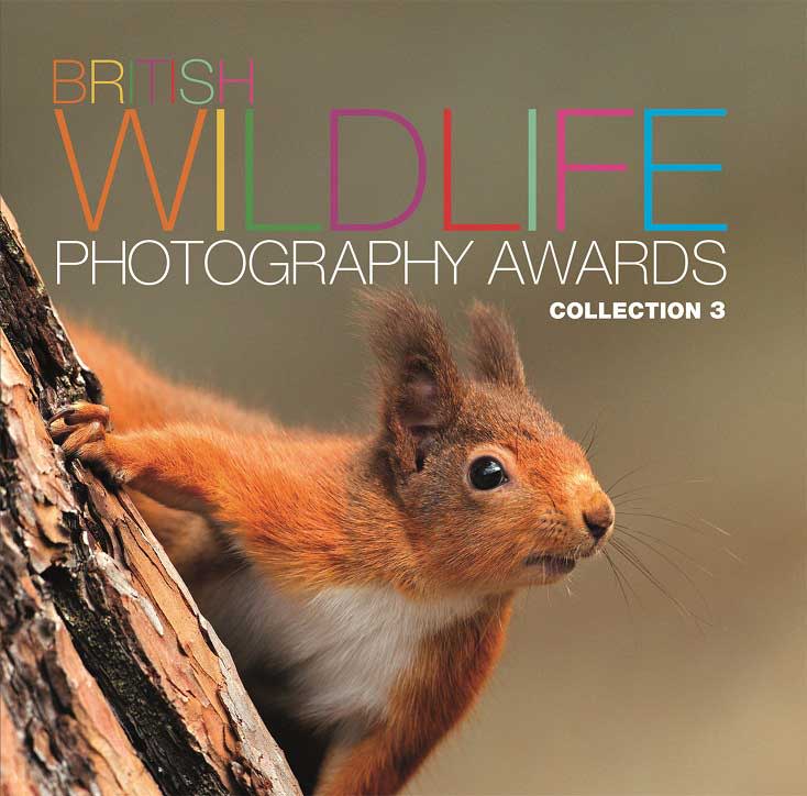 The British Wildlife Photography Awards: Collection 3 showcases the very best entries from the British Wildlife Photography Awards 2012. This stunning coffee table book is a celebration of British wildlife as captured on camera by today’s best amateur and professional photographers.