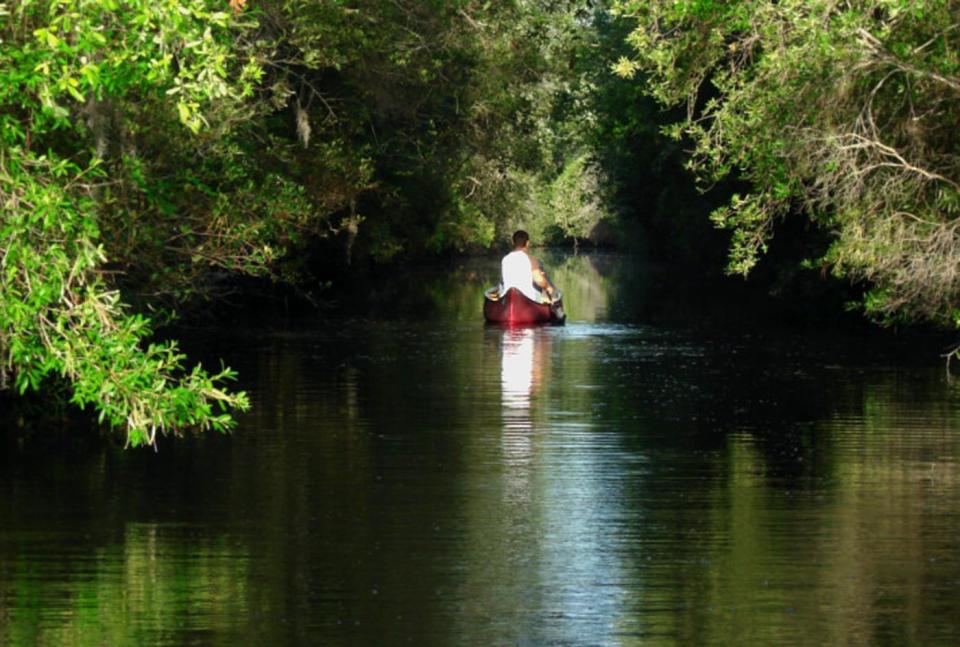 A paddle at the Okefenokee National Wildlife Refuge.