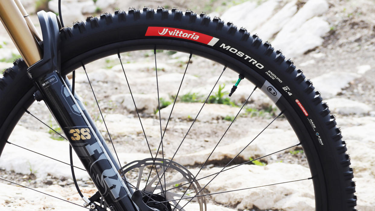  The Vittoria Mostro tire. 