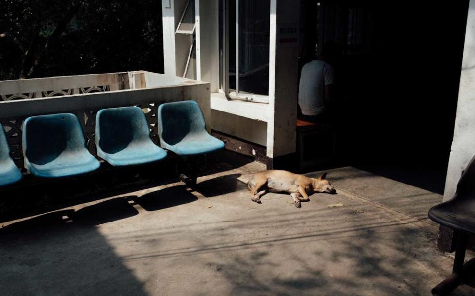 A dog laying in the sun outside of Doi Suthep Temple, Chiang Mai. | Stan Nalewski