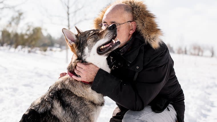 Wolves Were Man's First Best Friend. Why Did Dogs Take Their Place?