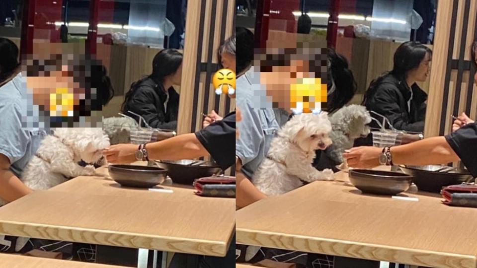 女子見寵物主人直接將餐廳餐具餵食愛狗。（圖／翻攝自《爆怨2公社》臉書）