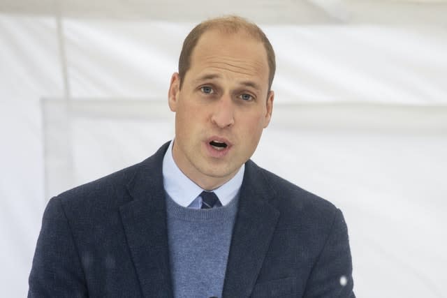 William turned to video and telephone calls to carry out royal duties during lockdown. Jack Hill/The Times