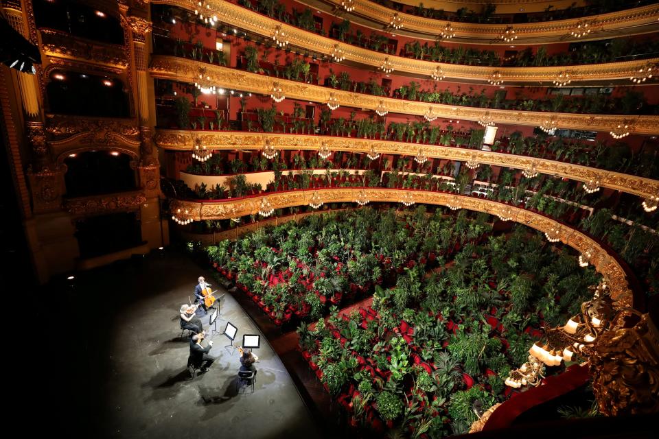 Nursery plants are seen placed in people's seats during a rehearsal as Barcelona's Gran Teatre del Liceu opera reopens its doors with a concert for plants to raise awareness about the importance of an audience after the lockdown, amid the coronavirus disease (COVID-19) outbreak, in Barcelona, Spain June 22, 2020. REUTERS/Nacho Doce