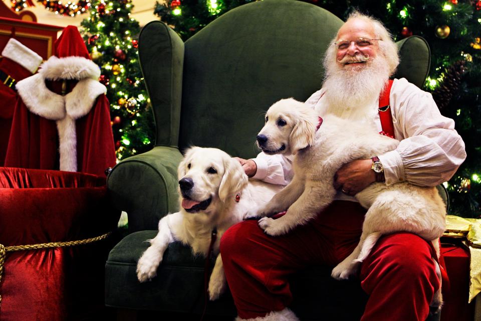 One-year-old Sequoia (left) and four-month-old Alex, have their photo taken with Santa on Nov. 26, 2012 at Mayfair Mall. Their owners are Kathy and Joe Radomski of New Berlin.