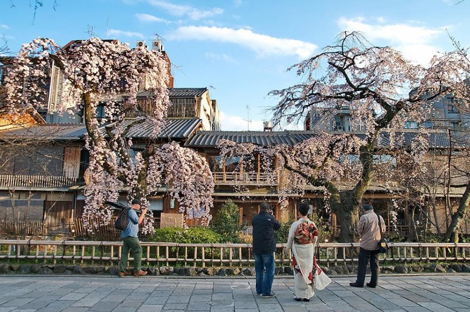 日本京都景點推薦-祇園｜圖片來源：Kyoto-Picture / Flickr