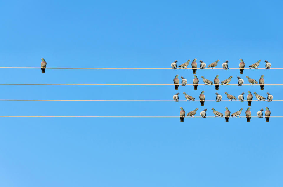Birds on four electrical wires, with one bird sitting away from the others.