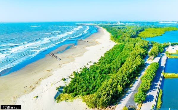 布袋好美里有紅樹林、潟湖、沙灘、防風林等多樣性地景風貌及豐富生態資源，可欣賞到娉婷水鳥及觀察到生動的濕地動植物生態。（圖：雲嘉南管理處提供）