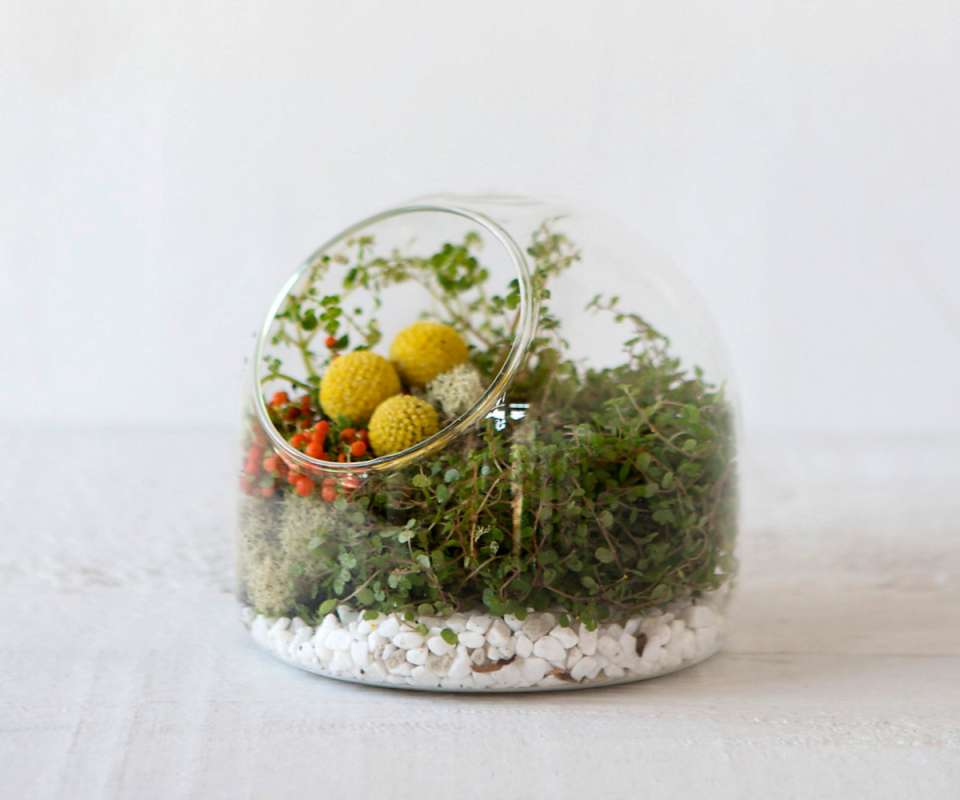 A small rounded glass terrarium sits on a pale bench with moss, white pebbles and yellow pom pom flowers inside. 