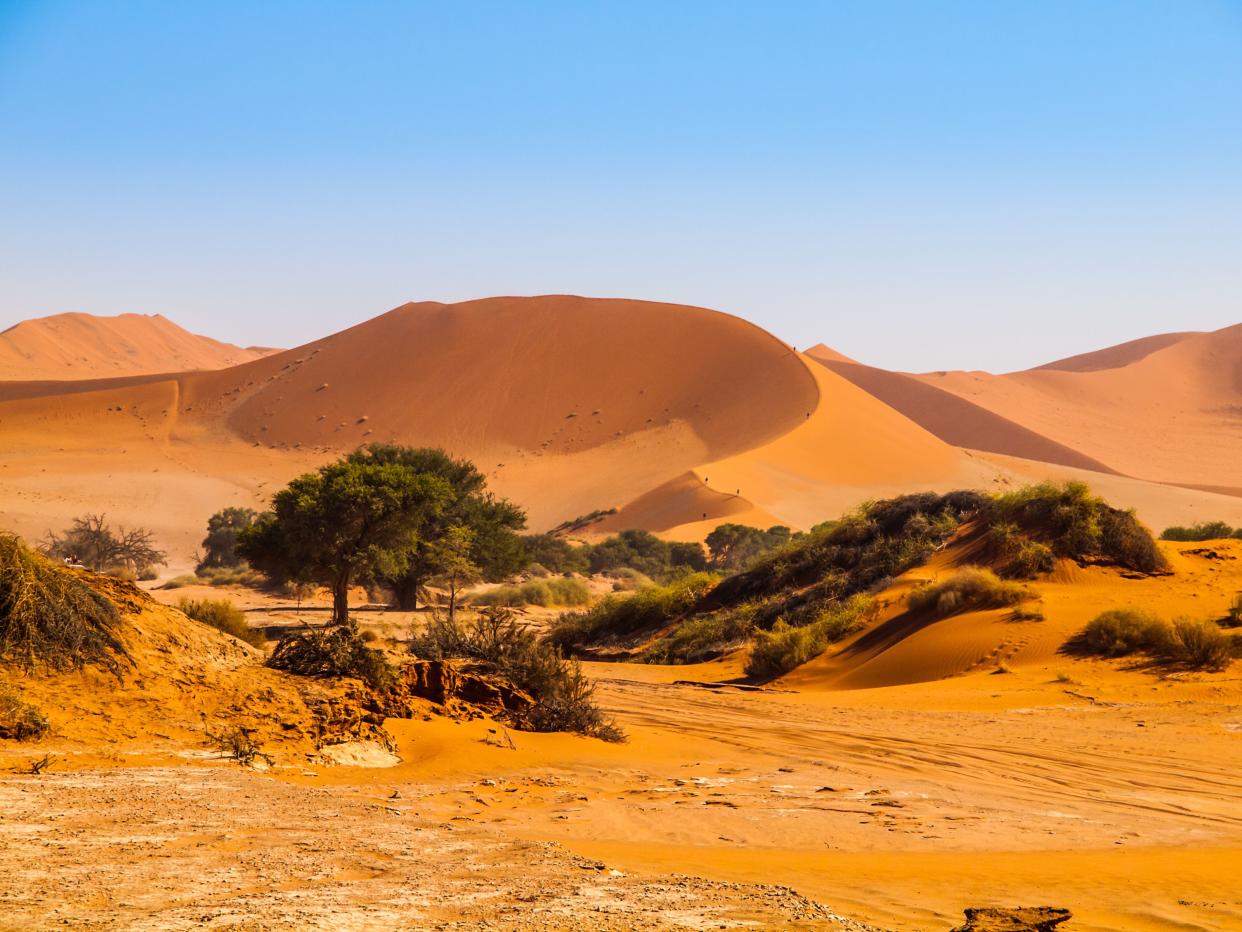 An oasis of green trees in the middle of red sand dunes, Sossusvlei, Namib-Naukluft National Park, Namibia