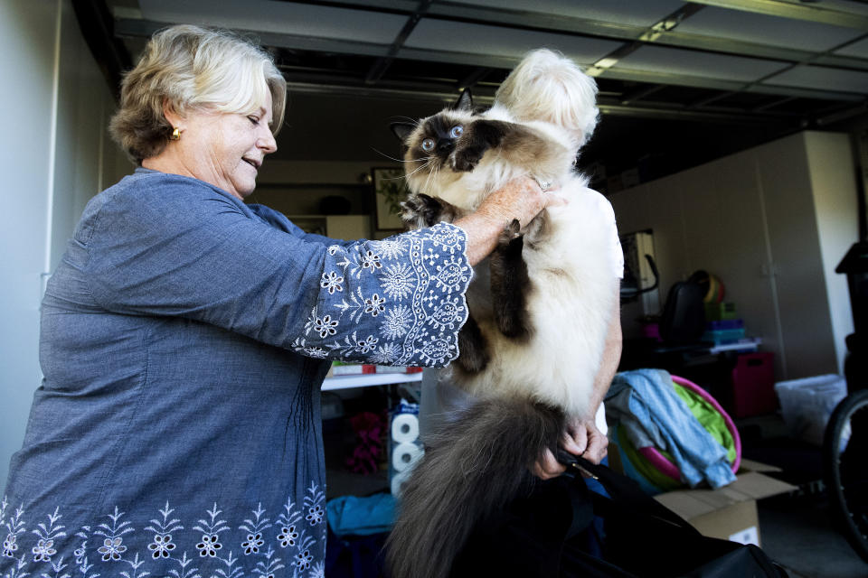 Sandy Beddow evacuates with her cat as a wildfire called the Kincade Fire burns nearby on Saturday, Oct. 26, 2019, in Healdsburg, Calif. Authorities issued evacuation orders for the town Saturday morning as the region braces for predicted strong, dry winds Saturday evening. (AP Photo/Noah Berger)