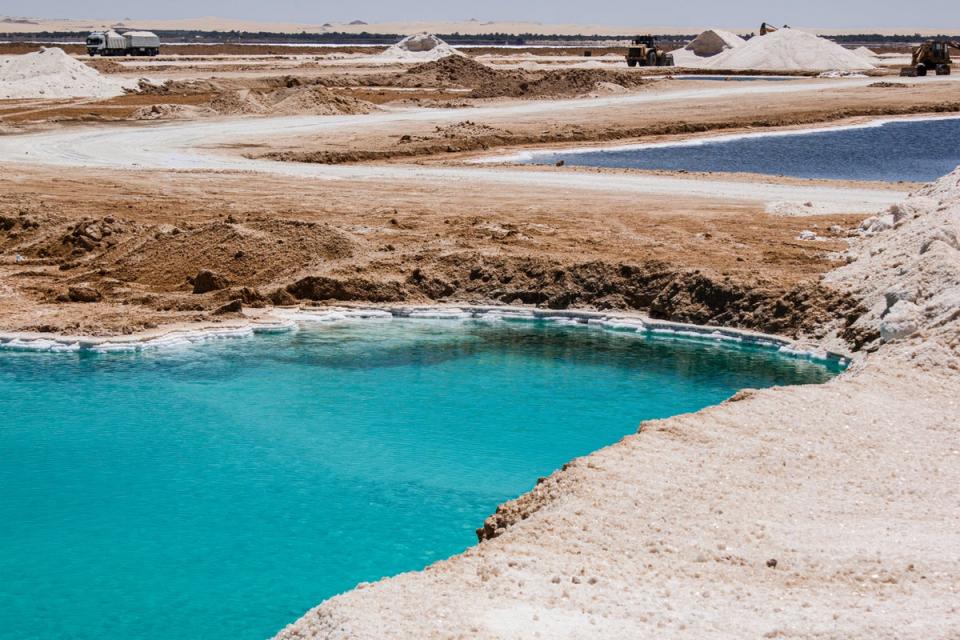 The azure salt lakes are fringed with olive and palm trees (Getty Images/iStockphoto)