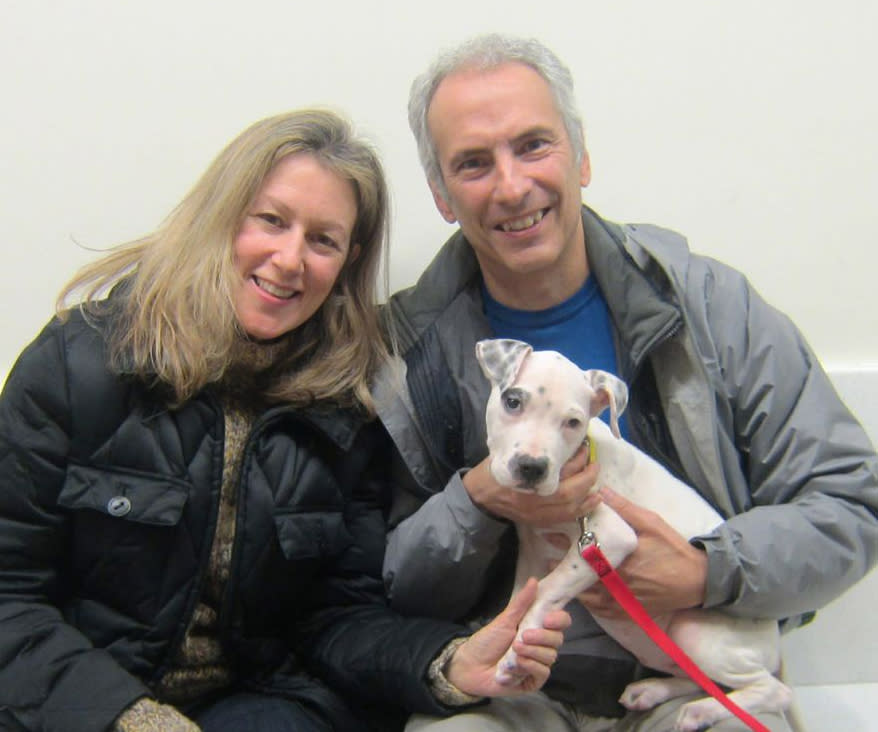 In this Jan. 16, 2013 photo provided by the American Society for Prevention of Cruelty to Animals, Pamela Harris and Joseph Villari pose with Pinky, their three month old pit bull mix, who they named Opal after adopting her, at the ASPCA’s Adoption Center in New York. In order to be prepared for dog ownership, experts say you need to examine your lifestyle, home and finances. Then, you need to find the right match. (AP Photo/ASPCA)