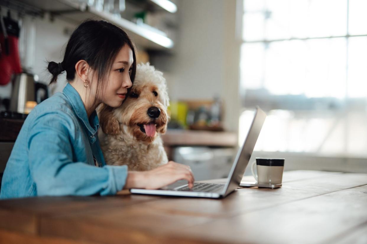 young woman works on computer with golden dog next to her